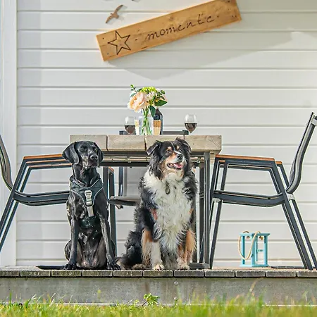 Sternmomente Olpenitz